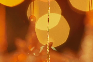 Christmas Lights, Holiday