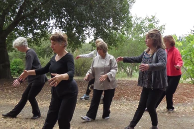 What Is Medical Qigong?