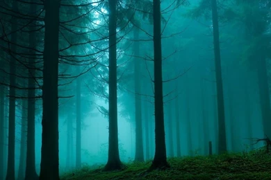 Wallpapers   Chi Connected Qigong Health Center