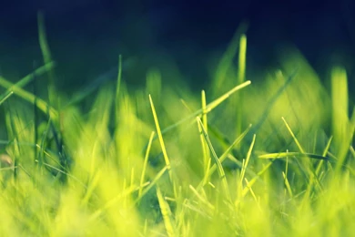 Playingwithsunlight 3840x1200 Wallpapers   (