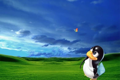 Linux wallpaper l.jpeg