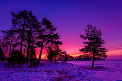 Winter Sunset Desktop Wallpapers   , New Wallpapers, New Wallpapers