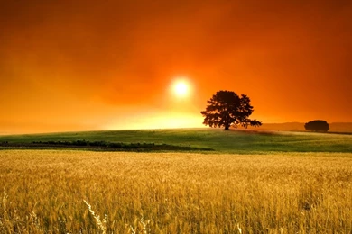 Wallpaper: July 2013