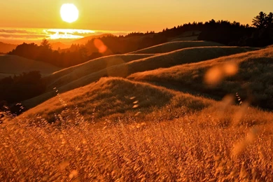 Download Mountain Sunset Wallpapers Photo