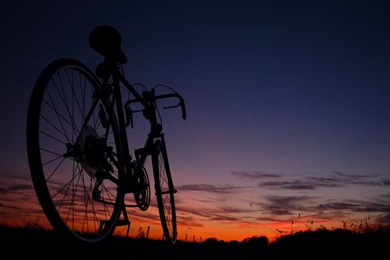 42 Random Wallpapers Cycling At Sunset Pictures Wallpapers 147 ...