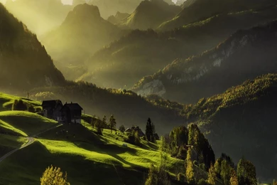 Valley,light,forest,residential,green Landscape Hd Wallpapers ...