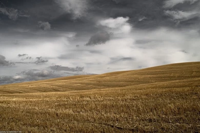 Free Desktop Wallpapers