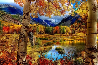 Fall Wallpapers Hd Wallpapers 1296647