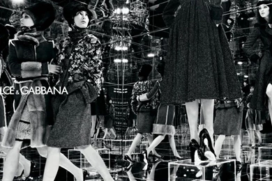 Dolce And Gabbana Wallpapers And Images   Wallpapers, Pictures, Photos