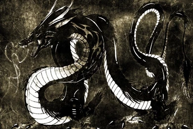 Dragon Jooti Wallpapers HD