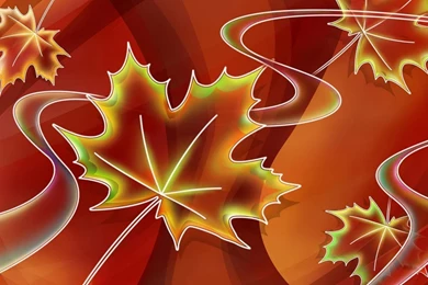 Desktop Wallpapers · Gallery · HD Notebook · Canadian Maple HP ...