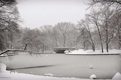 Winter Backgrounds For Desktop