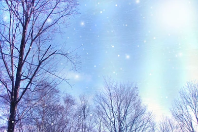 Winter Backgrounds Pictures, Images & Photos