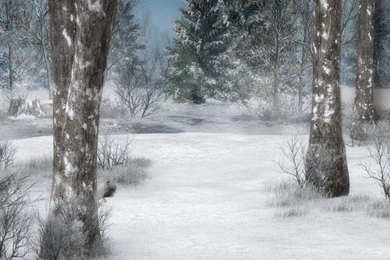 Winter Backgrounds 2 By BlackStock On DeviantArt