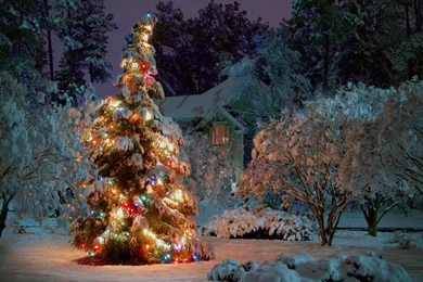 1280x1024 Christmas Eve Desktop PC And Mac Wallpapers