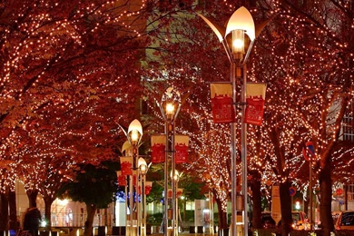 1280*1024 Christmas Night Lighting Dislpay Wallpapers   Christmas ...