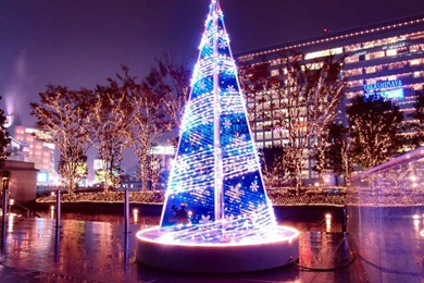 Beautiful Christmas Wallpapers   Crazy Frankenstein