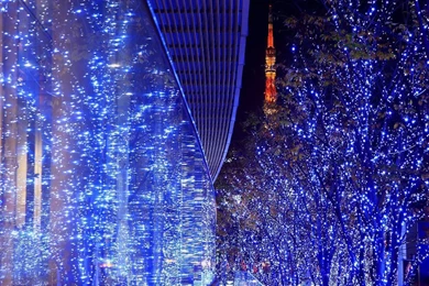 1280*1024 Christmas Night Lighting Dislpay Wallpapers   Christmas ...