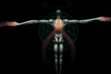 Tool Wallpapers (