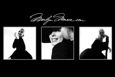 Marilyn Monroe Official Walpaper 8 1024 Hd Wallpapers   (