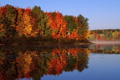 Lake Near The Forest In Autumn Wallpapers