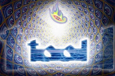 Tool Wallpapers (19966)   Wallpaperesque