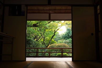 2560x1600 Mood, Meditation, Silence, Freedom Wallpapers And ...