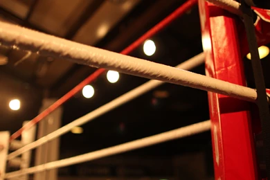 If Your Self compassion And Self criticism Were In A Boxing Match ...