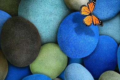 Wallpaper] HD Very Nice 1080x1920 Xperia Z L…