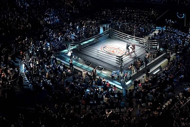 Curiouser And Curiouser ♥: Real Steel Gala Premier