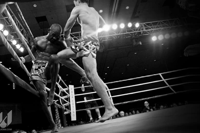 Wallpaper: Wallpapers Boxing