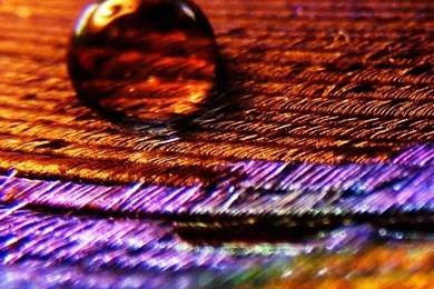 Colorful Mobile Phone Wallpapers HD Phone Wallpapers