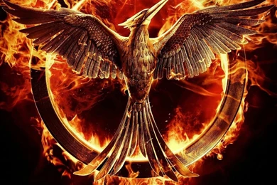 Mockingjay The Hunger Games Wallpapers HD