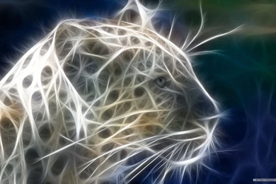 Free Wallpapers   Free Art Wallpapers   3D Animal Wallpapers ...