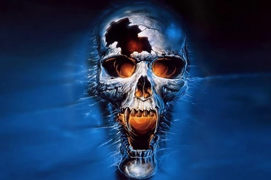 Blue Skull Wallpapers Widescreen HD Wallpapers