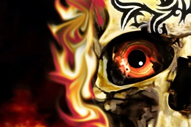 Cool Fire Skulls (id: 46168) – BUZZERG