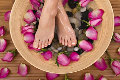 Download Wallpapers Rose Petals And Women's Feet (1920 X 1080 HDTV ...
