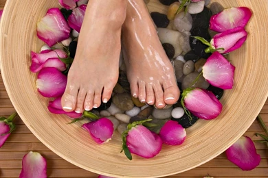 Download Wallpapers Rose Petals And Women's Feet (1280 X 1024 ...