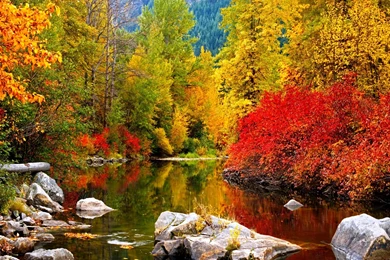 High Resolution Fall Wallpapers Forest Photos Of Better Computer ...