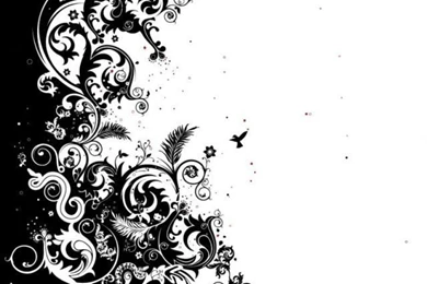 Artistic Black And White Flower Wallpapers