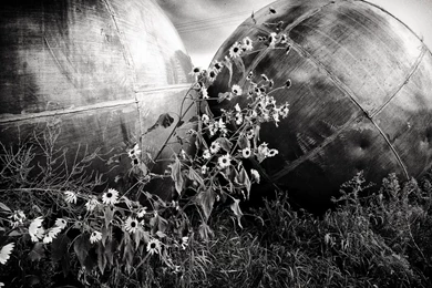 Black White Bw Steel Metal Sphere Globes Circle Sculpture Flowers ...