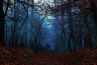 Tons Of 4k Tek Syndicate Wallpapers: Something For Everyone! Pic ...