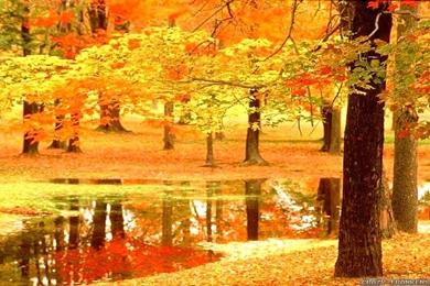 Autumn In France Wallpapers   Seasonal   Crazy Frankenstein