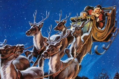 Santa Sleigh Pictures, Images & Photos