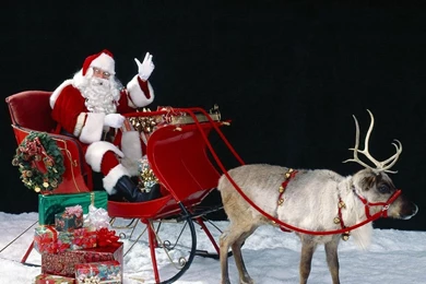 Full HD 1080p Reindeer Wallpapers HD, Desktop Backgrounds 1920x1080