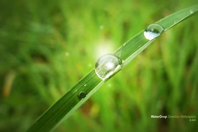 Wallpapers By Lubel On DeviantArt