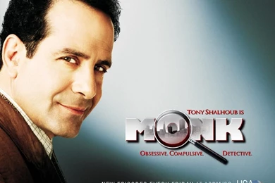 Monk_1024x768   Monk Wallpapers (560391)   Fanpop