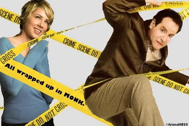 Welcome To (The) Monk Information Page/Bridges To Monk   Wallpapers