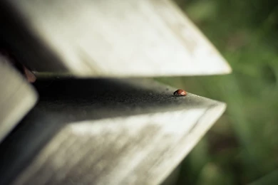 TOP HD WALLPAPERS: HD WALLPAPERS 1080p