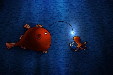 2560x1440 Fish And Squid Desktop PC And Mac Wallpapers